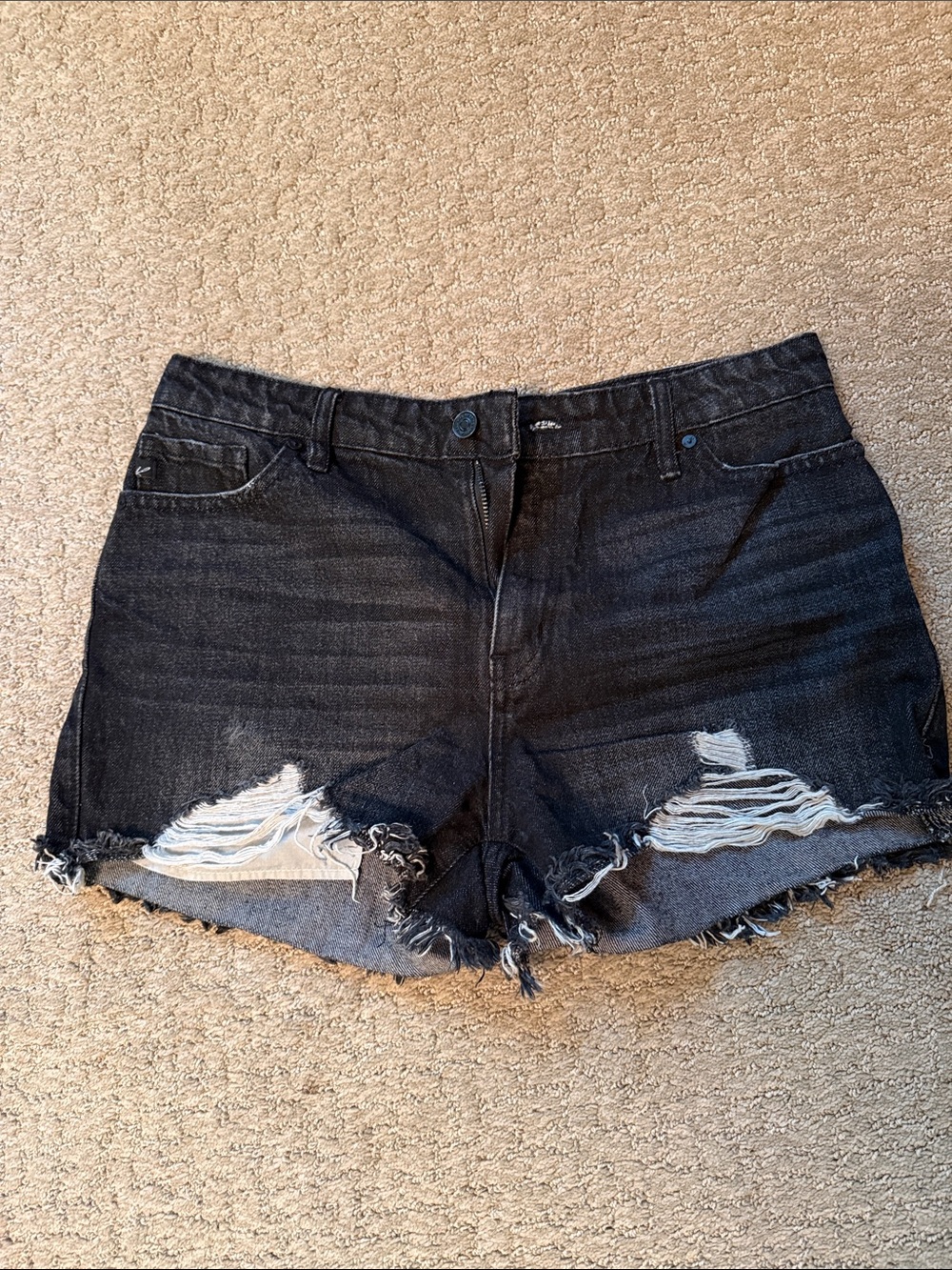 Kenar Black Distressed Denim Cutoff Shorts